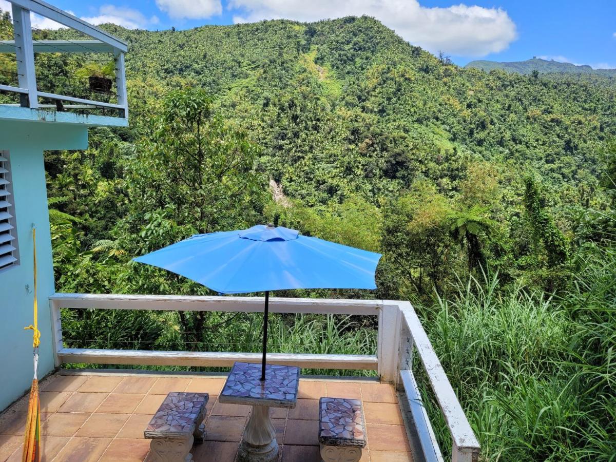 Casa Cubuy Ecolodge Naguabo Exterior photo