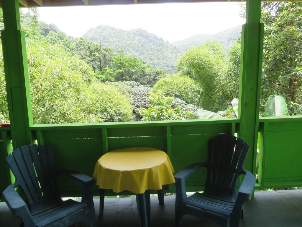 Casa Cubuy Ecolodge Naguabo Exterior photo