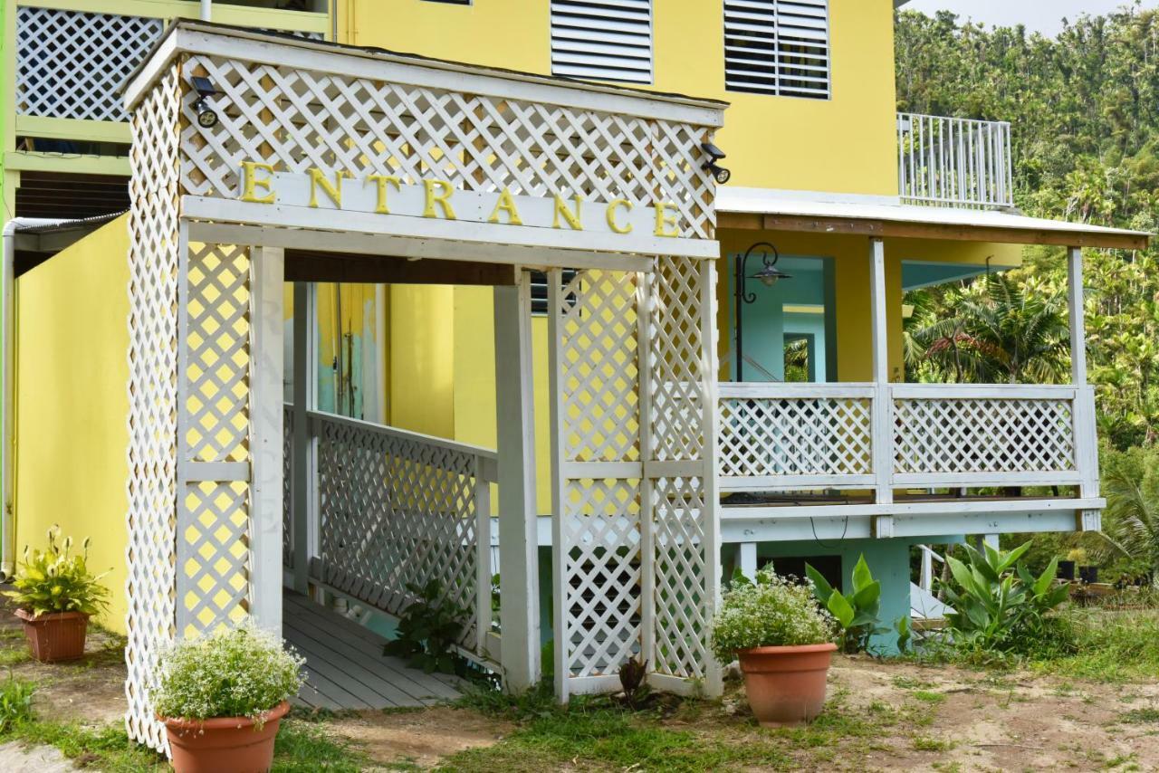 Casa Cubuy Ecolodge Naguabo Exterior photo